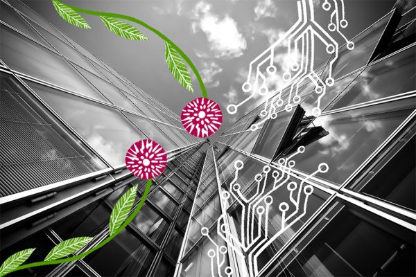 Decorative image of building with flower illustrations overlaid