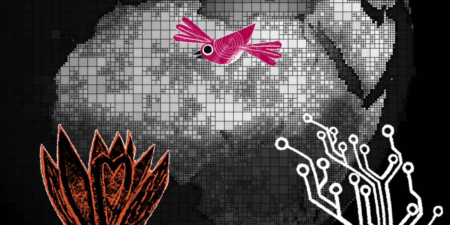 africa in the background, flower, network and bird on the foreground