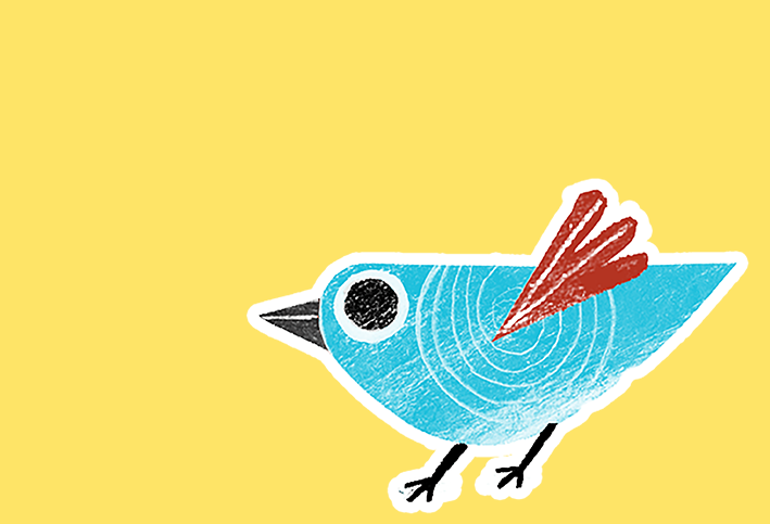 bird on yellow background