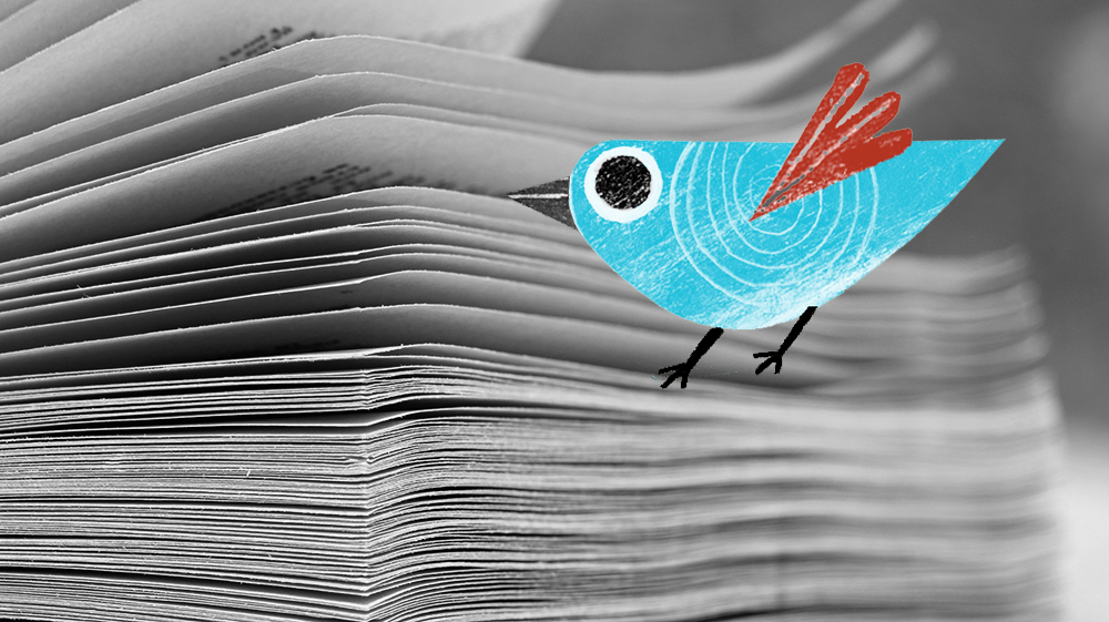 Decorative image of an open book with illustrated bird overlaid