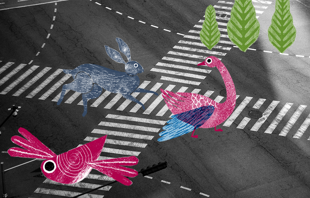 Decorative image of birds crossing a road