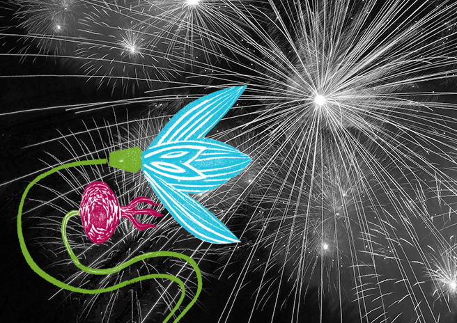 Image of fireworks and illustration of flower