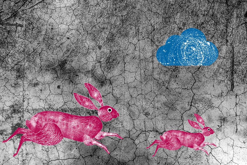 Decorative illustration of two hares against a backdrop of a cracked wall 