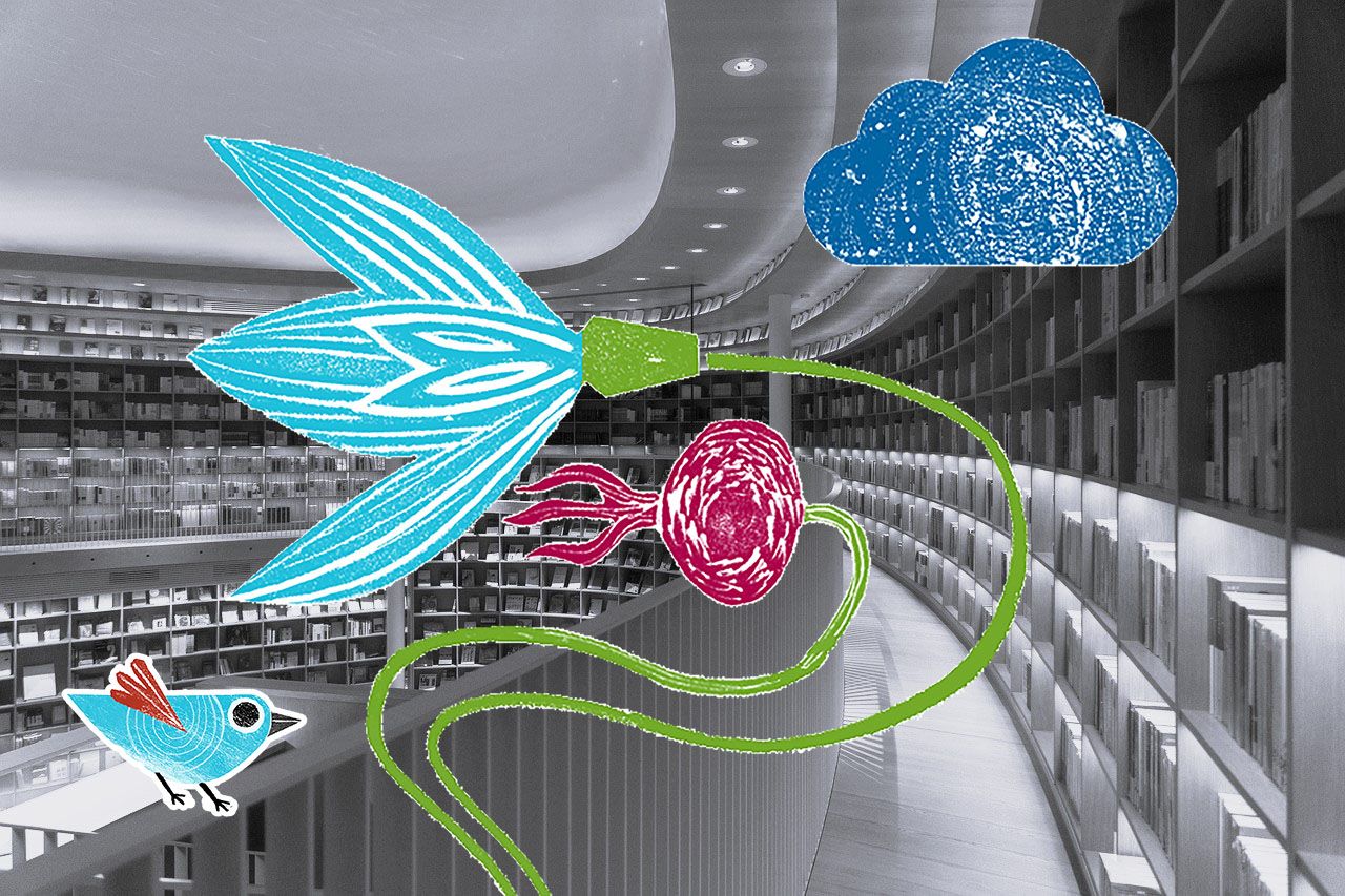 decorative image of a library, with blue landing bird, flower and cloud