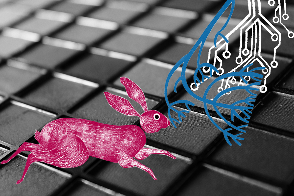 hare smelling flowers on a keybord