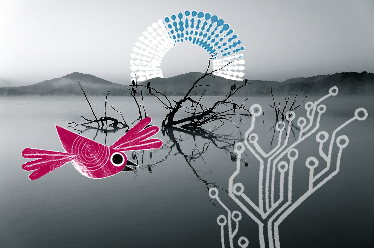 decorative image of a black and white lake, with branches and a pink bird, a white circuit in the shape of a branch and a mosaic round blue and white circuit in the shape of a rising sun