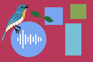 Decorative image of a bird with a soundwave icon and several images of shapes