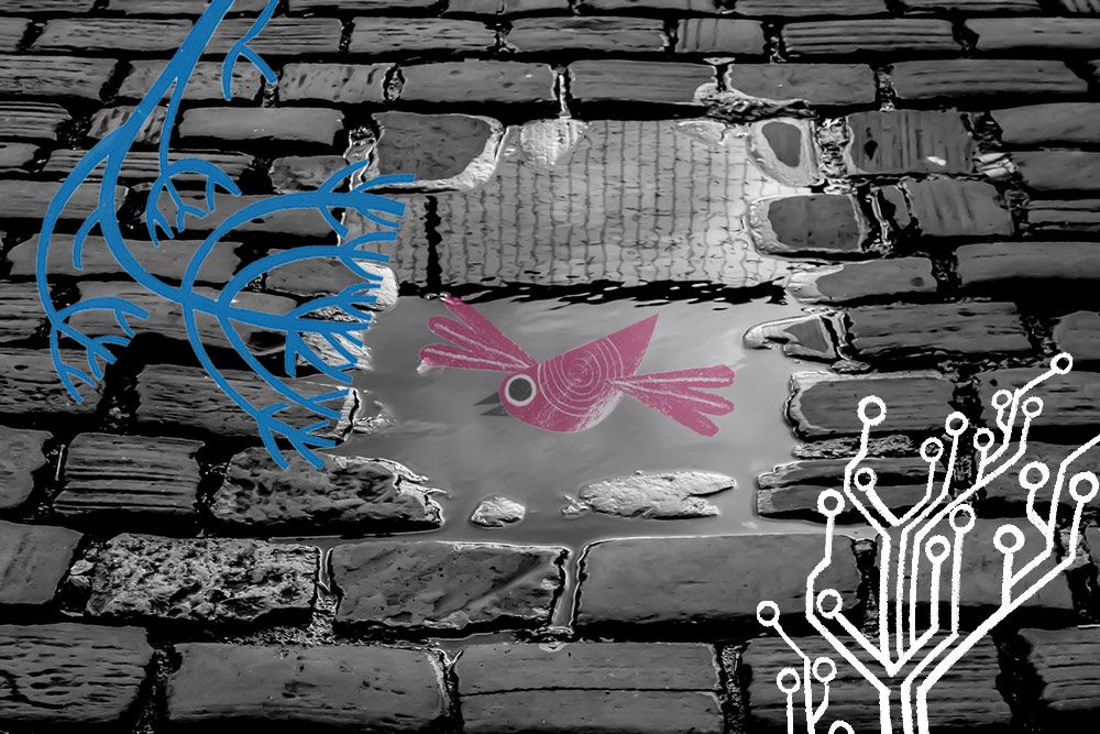 Decorative image of puddle with reflection of illustrated bird 