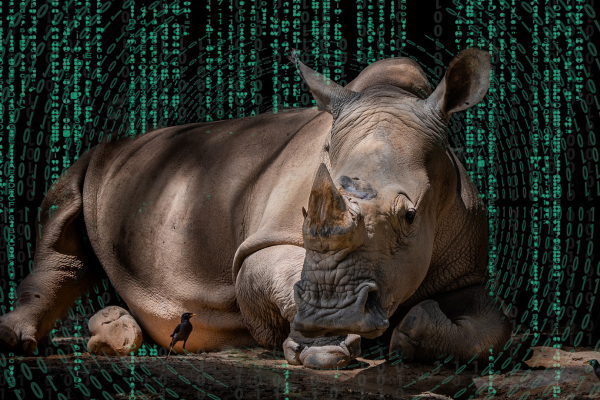 Decorative image of a rhino