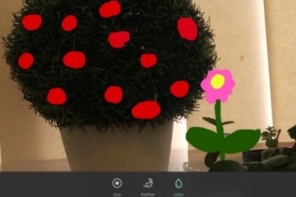 Decorative image of an indoor plant with digital embellishments