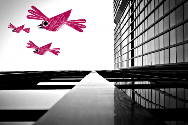 Decorative image of birds outside a building