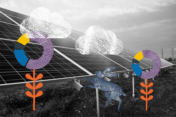 Decorative image of solar panels with illustrative icons of flowers, clouds and hare