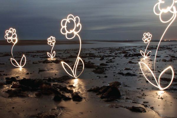 Decorative image of flowers drawn with light on a beach