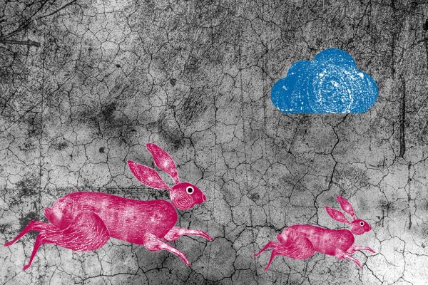 Decorative image of a cracked wall with illustrated hairs running