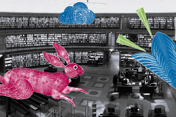 library in the background, hare cloud and flower on the foreground