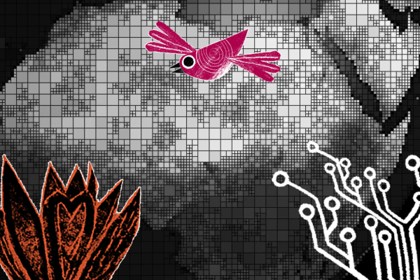 Africa in the background, circuit, bird and flower on the foreground