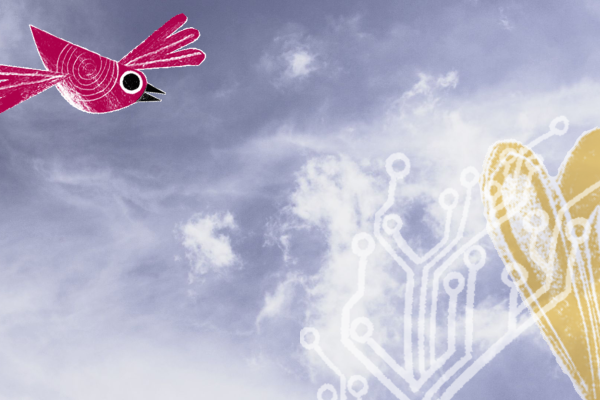 sky, bird, flower, data network