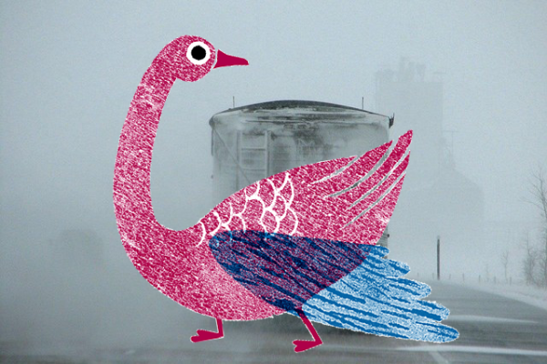 goose, highway, truck