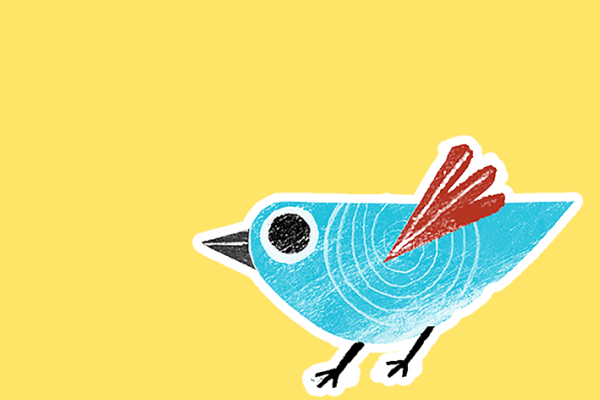 bird on yellow background