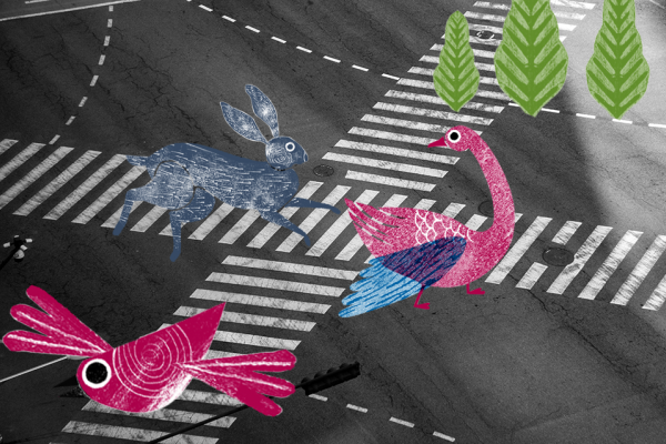 Decorative image of birds crossing a road