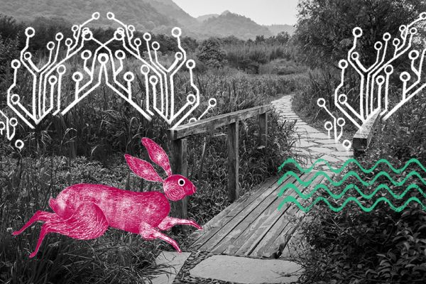 Decorative image of hare and circuit illustrations with a bridge in the background
