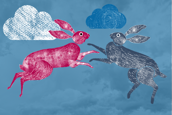 hare in sky
