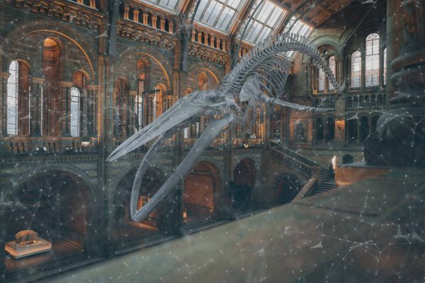 Natural History Museum