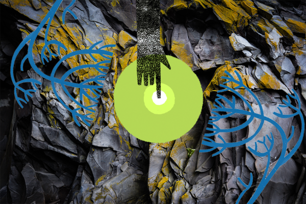 Decorative image of rock face overlaid with flower illustrations