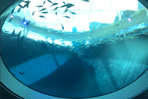 Image from Frost Science